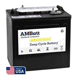 AMBatt AM P Batterien, Made in USA by Trojan