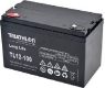 Triathlon TL12-100, 12V 111Ah Blei AGM long life Batterie wartungsfrei
