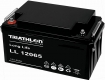 Triathlon LL 12V Blei-AGM Batterien wartungsfrei, long life
